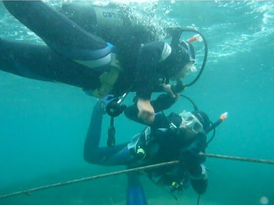 Dive Connection Rostock